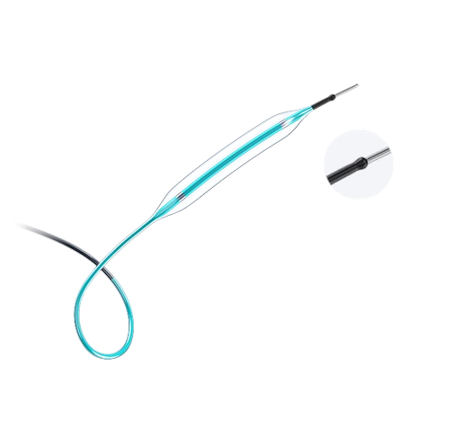 CONQUEROR™ Lollipop NC PTCA Balloon Catheter