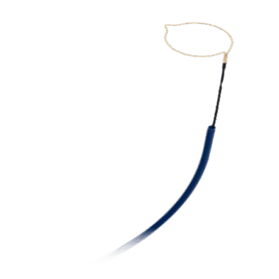HorsepoleS