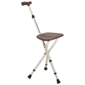 Portable Walking Stick Chair