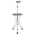 Portable Walking Stick Chair1