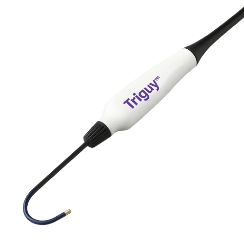 Triguy™ Steerable Ablation Catheter