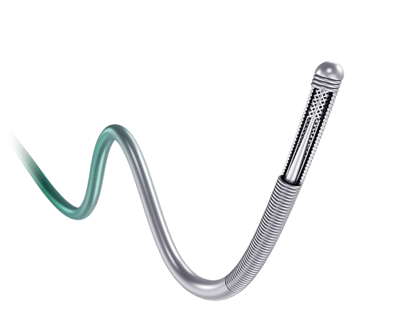 AnyreachC™ & AnyreachP™ PTCA Guidewire