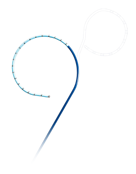 Triguy™ Steerable Duo-decapolar Mapping Catheter