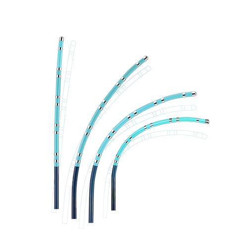 Triguy™ Steerable Mapping Catheter