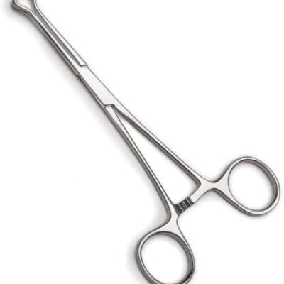 Babcock Tissue Forceps